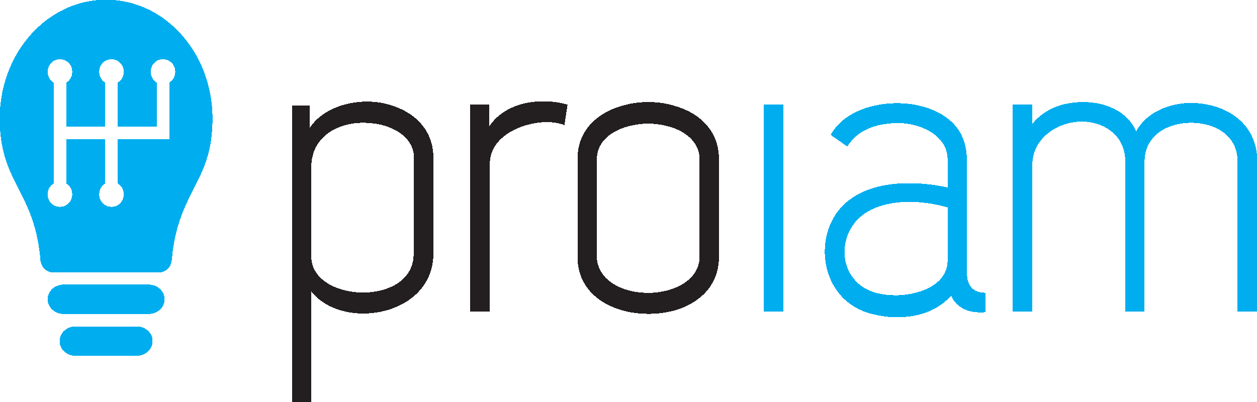 PROIAM logotyp